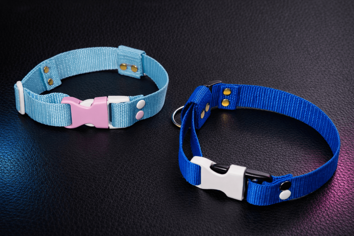 Pet - Play Custom Buckle Collars Human Pet Choker - SubWoofs