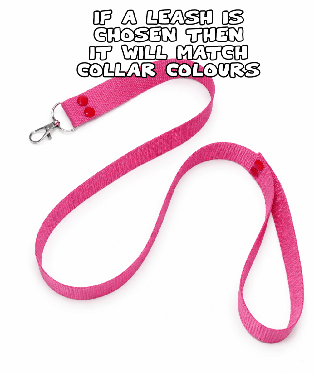 Pet - Play Custom Buckle Collars Human Pet Choker - SubWoofs