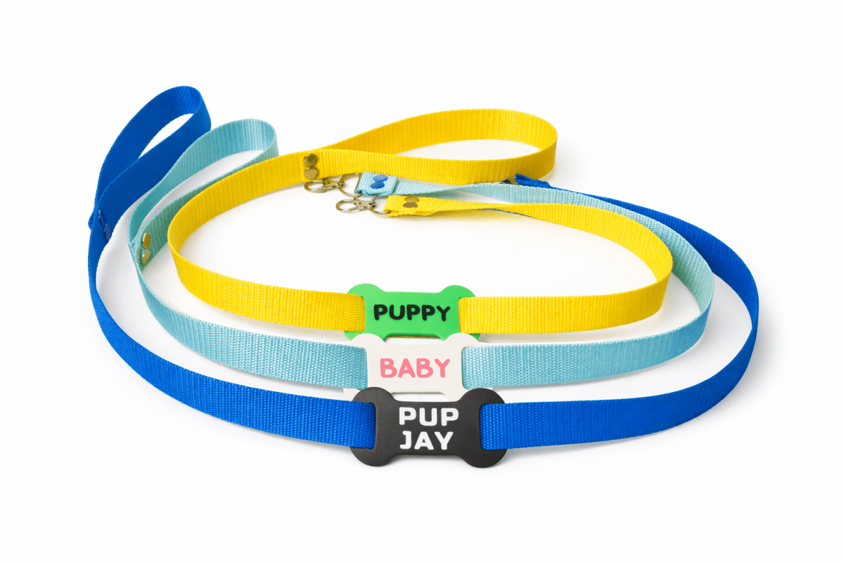 Pet - Play Custom Leash with Tag - SubWoofs