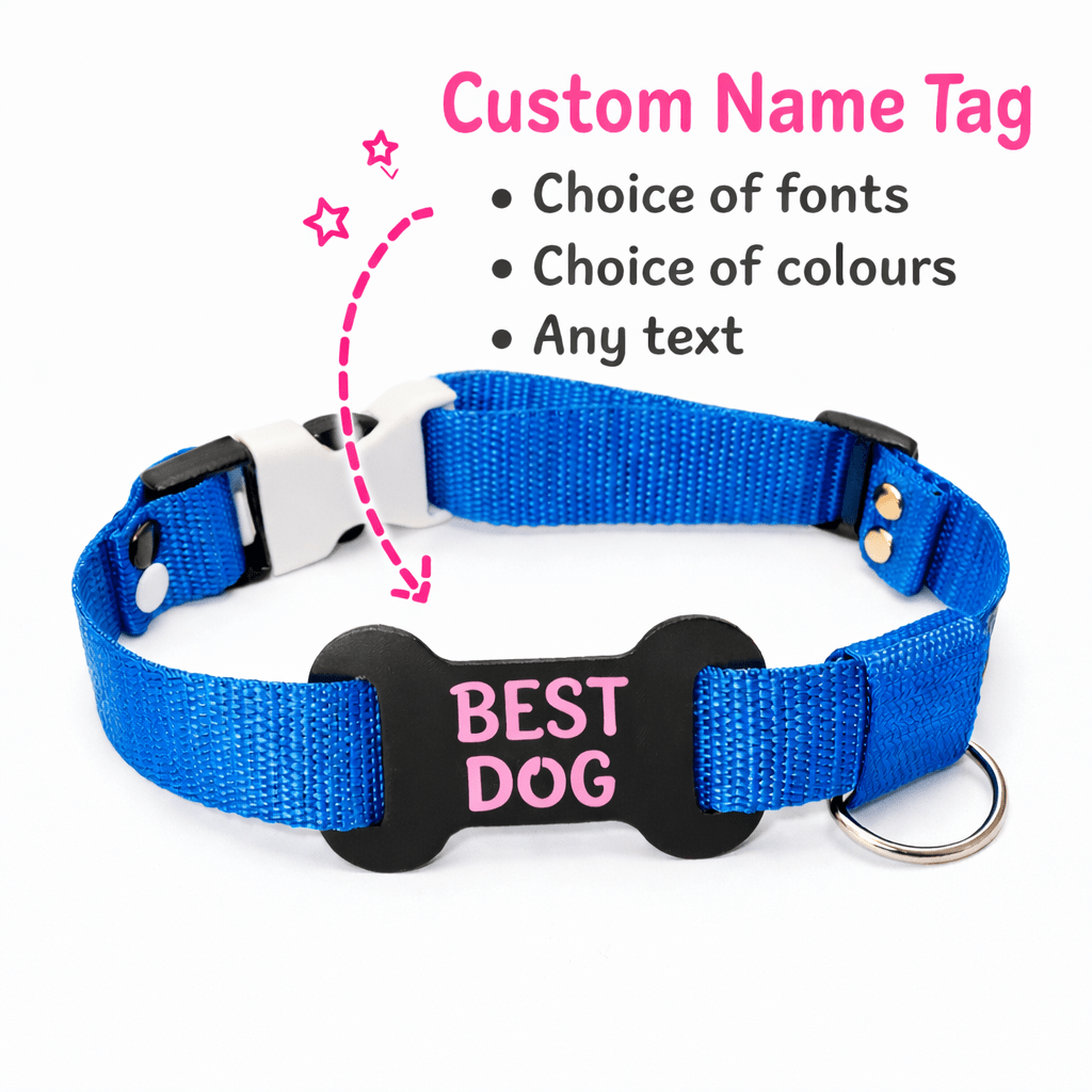 Pet - Play Custom Tag Buckle Collars Human Pet Choker - SubWoofs