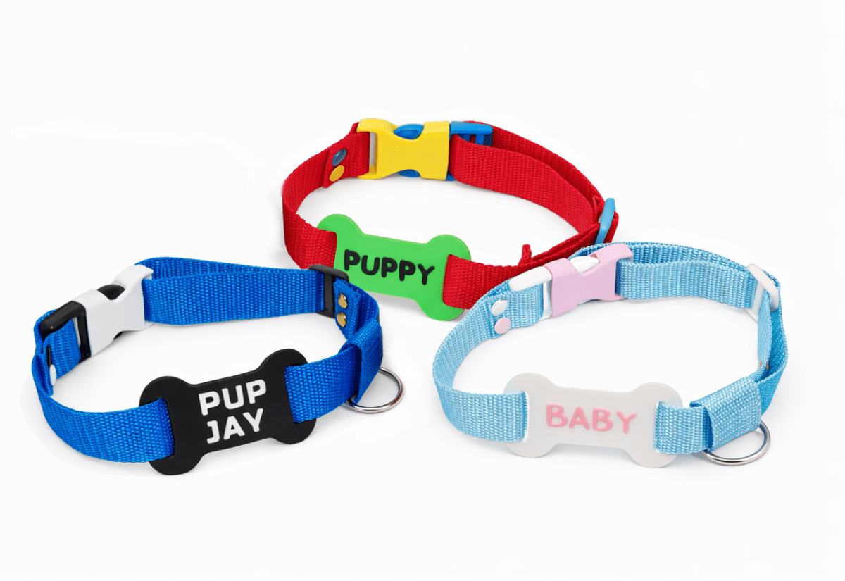 Pet - Play Custom Tag Buckle Collars Human Pet Choker - SubWoofs